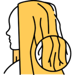 الشعر الجاف Dry Hair